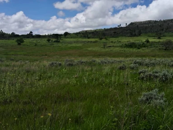 Farm & Agricultural Land