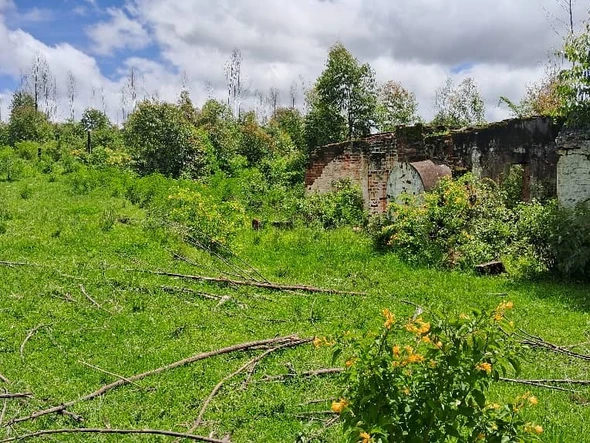 Farm & Agricultural Land