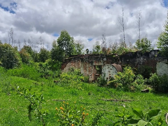 Farm & Agricultural Land